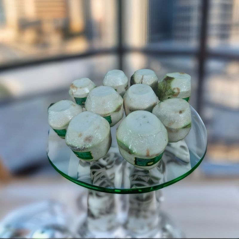 Coconotch Premium Engraved Coconut